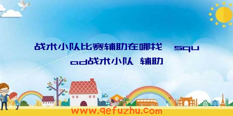 战术小队比赛辅助在哪找、squad战术小队